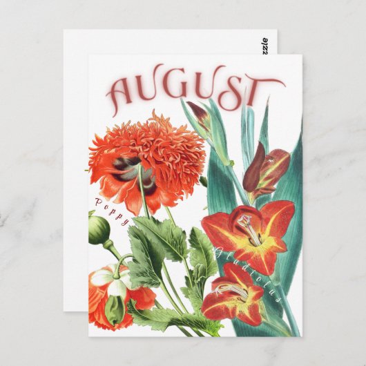 August Monat Blume Gladiolus & Poppy Extravagant Postkarte (Vorne/Hinten)