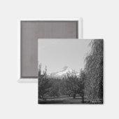 August Mt Hood Magnet (Vorderseite/Rückseite)