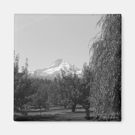 August Mt Hood Magnet (Vorne)