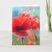 August Red Bloom Poppy Geburtstag Monat Geburtstag