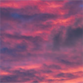 August rot aufkleber (Vorderseite)