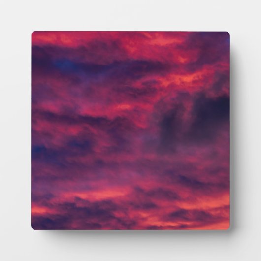 August rot fotoplatte (Vorderseite)