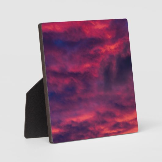 August rot fotoplatte (Vorderseite)