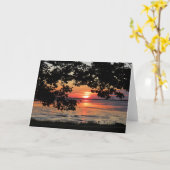 August Sonnenaufgang Nelson Park Karte (Gelbe Blume)