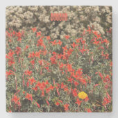 August Steinuntersetzer (Vorderseite)