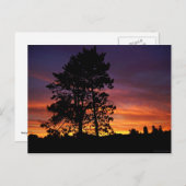 August Sunrise Postcard Postkarte (Vorne/Hinten)