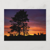 August Sunrise Postcard Postkarte (Vorderseite)