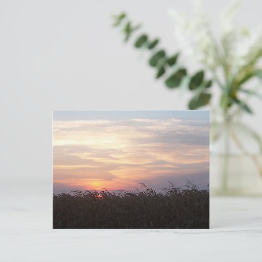 August Sunrise Postkarte (Stehend Vorderseite)