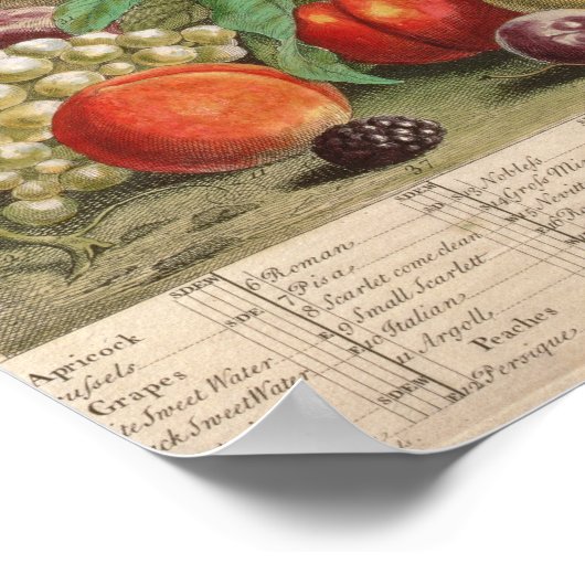 August, "Zwölf Monate Obst" Poster (Ecke)