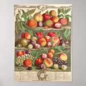 August, "Zwölf Monate Obst" Poster (Vorne)