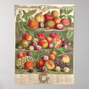 August, "Zwölf Monate Obst" Poster