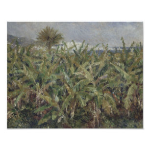 Auguste Renoir - Feld der Bananenstauden Fotodruck