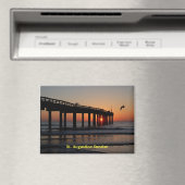 Augustine Florida Magnet (In Situ (Geschirrspüler))