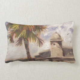 Augustine Fort - Castillo de san Marcos Lendenkissen