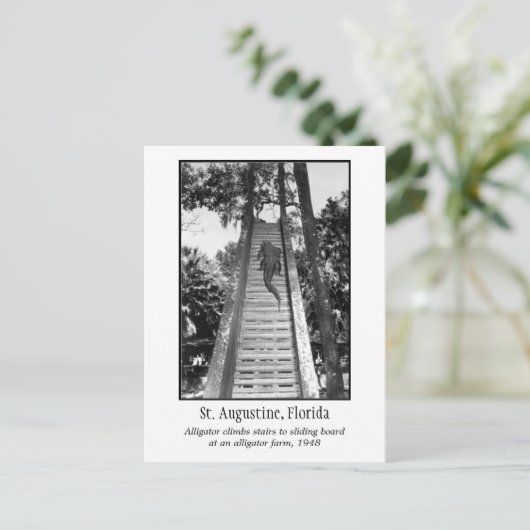 Augustiner Retroalligator Postkarte (Stehend Vorderseite)