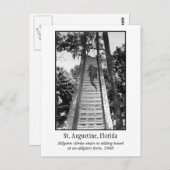 Augustiner Retroalligator Postkarte (Vorne/Hinten)