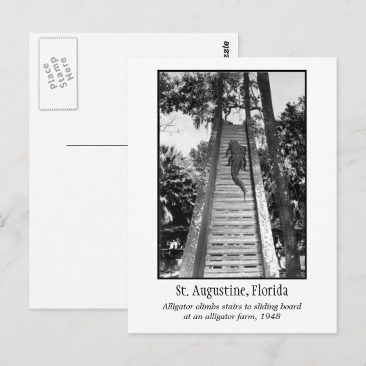 Augustiner Retroalligator Postkarte (Vorne/Hinten)