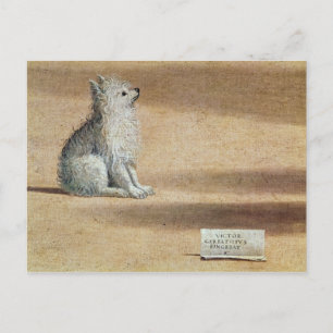 Augustiner Vision Postkarte