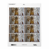 Augustinerkirche, Wien, Österreich (Vorne)