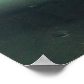 Auloncara Poster (Ecke)