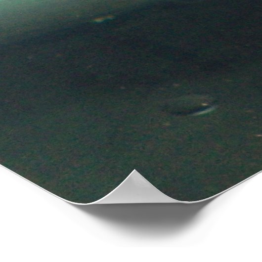 Auloncara Poster (Ecke)