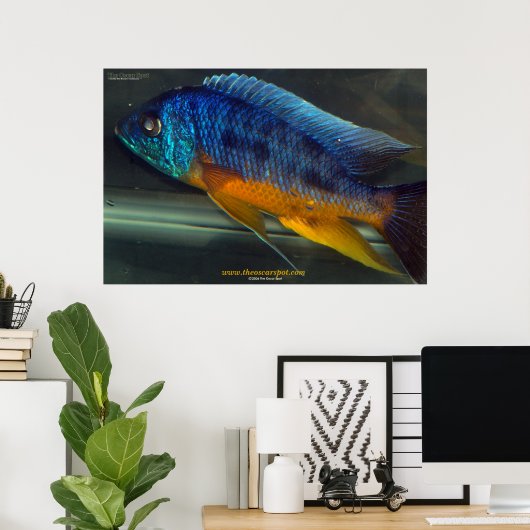 Auloncara Poster (Heimbüro)