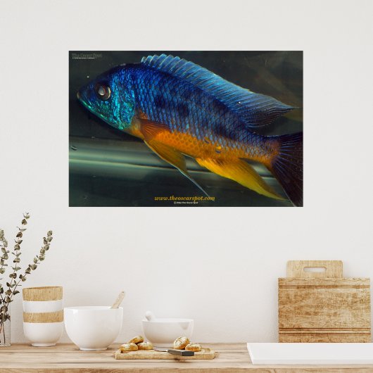 Auloncara Poster (Küche)