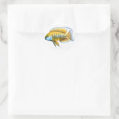 Aulonocara afrikanischer PfauCichlid Runder Aufkleber (Tasche)