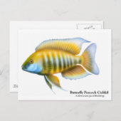 Aulonocara jacobfreibergi Postkarte (Vorne/Hinten)