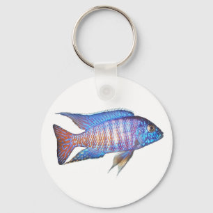 Aulonocara Pfau Schlüsselanhänger