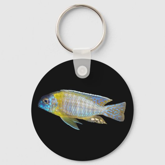 Aulonocara steveni Schlüsselanhänger (Vorderseite)