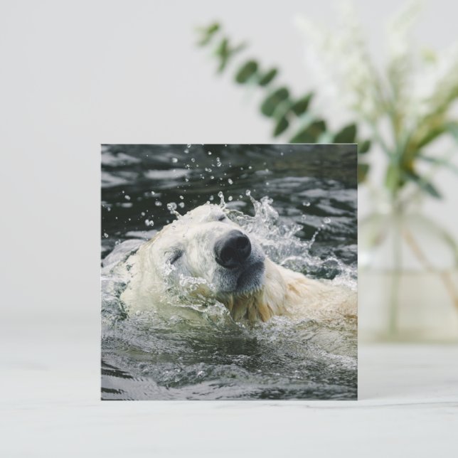 Aura des Polarbären (Stehend Vorderseite)
