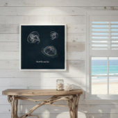 Aurelia aurita Educational Poster