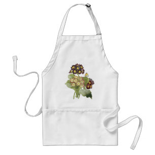 auricula(Primula auricula) by Redouté Schürze