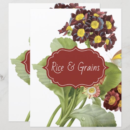 Auricula-Rezeptorenscheider (Vorne/Hinten)