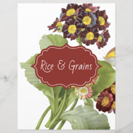 Auricula-Rezeptorenscheider