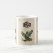 Auricula von Paul Jerrard Kaffeetasse (Mittel)