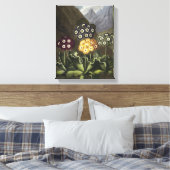 Auriculas von Dr. John Robert Thorntons Leinwanddruck (Insitu (Schlafzimmer))