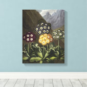 Auriculas von Dr. John Robert Thorntons Leinwanddruck (Insitu (Holzboden))