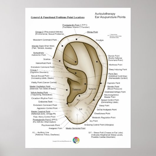 Auriculotherapy Ear Acupuncture Poster (Vorne)