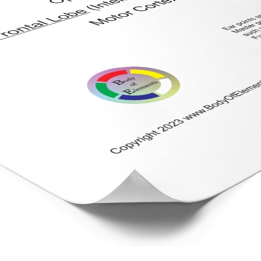 Auriculotherapy Ear Acupuncture Poster (Ecke)