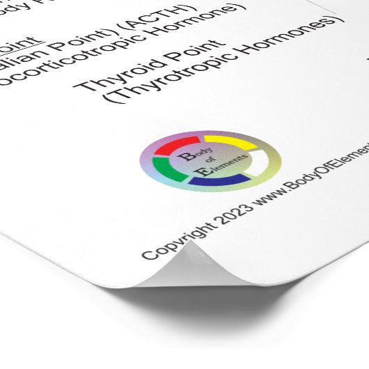 Auriculotherapy Ear Acupuncture Poster (Ecke)