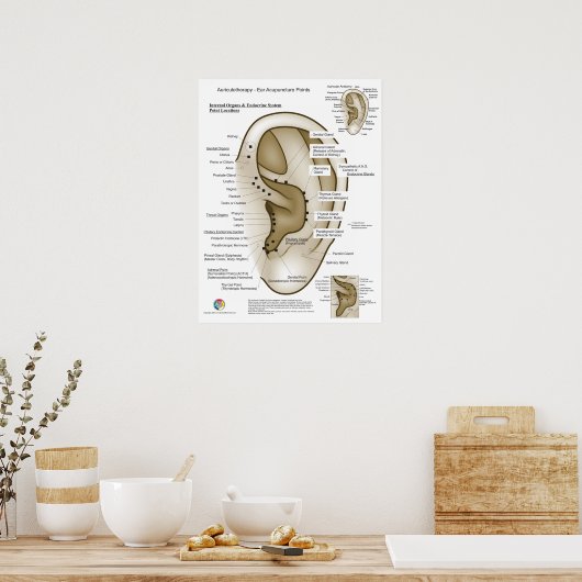 Auriculotherapy Ear Acupuncture Poster (Küche)