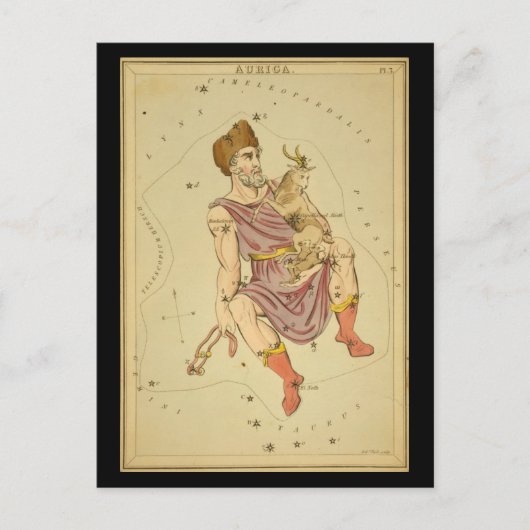 Auriga Postkarte (Vorderseite)