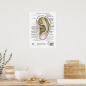 Aurikulotherapie-Ohr-Akupunktur Poster (Küche)
