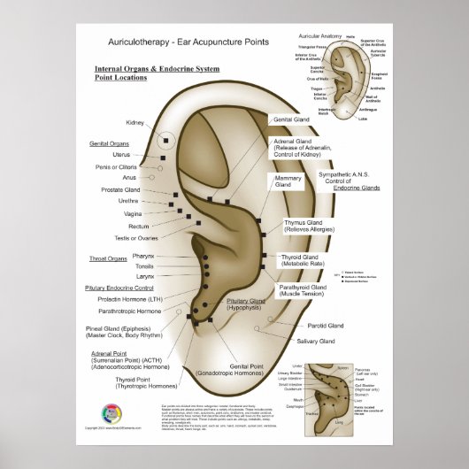 Aurikulotherapie-Ohr-Akupunktur Poster (Vorne)