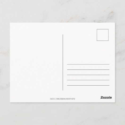 Aurora Australis - Südliche Lichter Australien Postkarte (Rückseite)