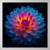 Aurora Bloom Poster (Vorne)