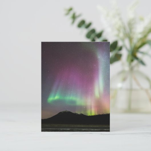 Aurora Borealis | Alaska Brooks Range, Alaska Postkarte (Stehend Vorderseite)