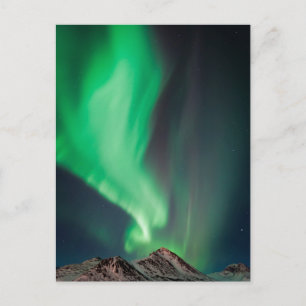 Aurora Borealis Anchorage, Alaska Postkarte